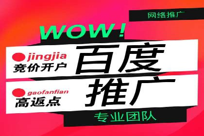 百度搜索广告推广的实战案例详解